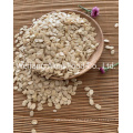 Wholesale Chinese Watermelon Seed Kernels